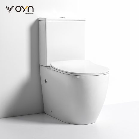 FT12 Two-piece Toilet (1)