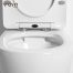 FT12 Two-piece Toilet (7)