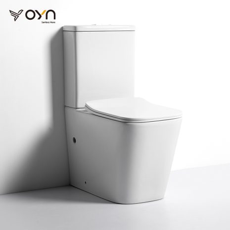 FT9 Two-piece Toilet (1)