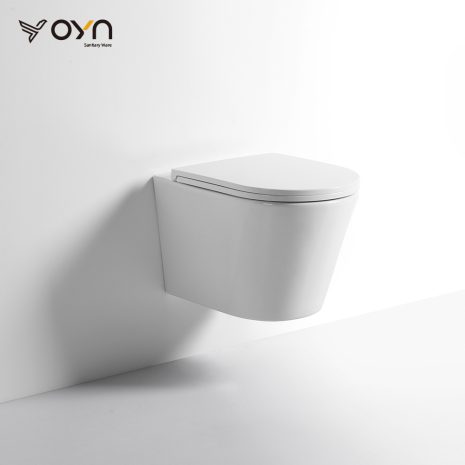 GB10 Wall-hung Toilet (1)