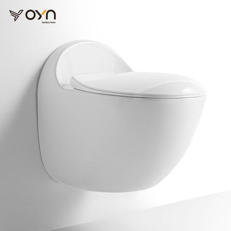 GB112 Wall-hung Toilet (1)