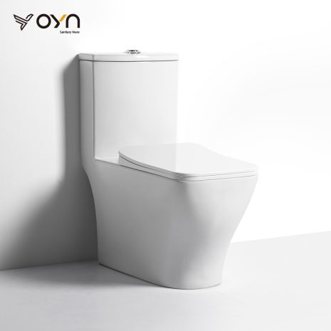 M16 One-piece Toilet (1)