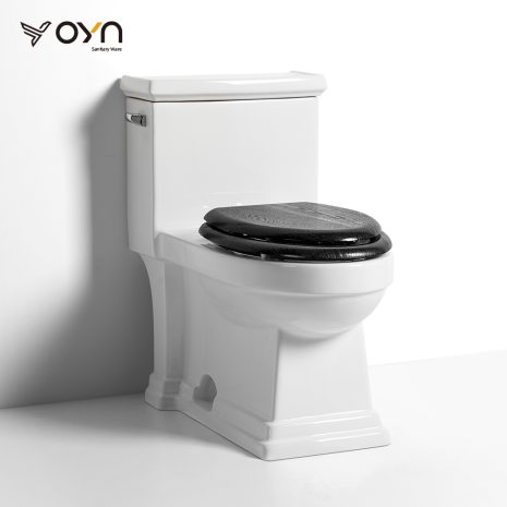 M17-2A One-piece Toilet (1)