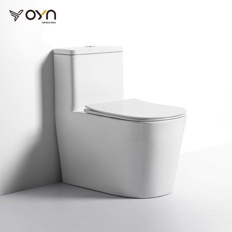 M3 One-piece Toilet (1)