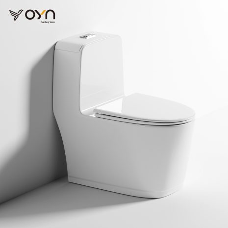 M4 One-piece Toilet (1)