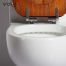 M5-2 One-piece Toilet (6)