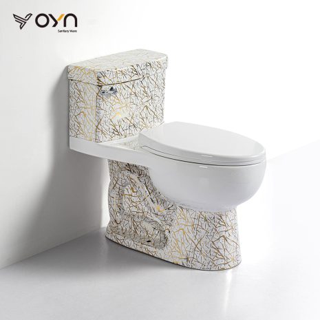 M5EL-A30 One-piece Toilet (1)