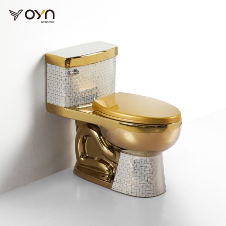 M5EL-A47 One-piece Toilet (1)