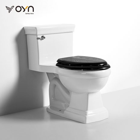 M7-2 One-piece Toilet (1)