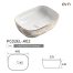 PC02EL-A02 Countertop Basin (2)