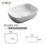 PC02ES-F01 Countertop Basin (2)